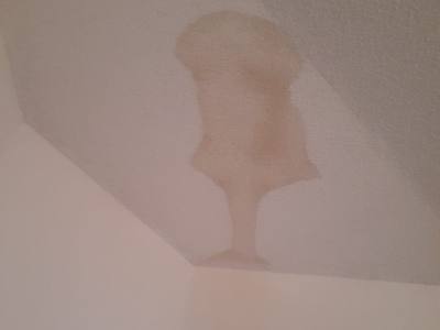 Water stain on ceiling caused by roof leak — Broward County FL